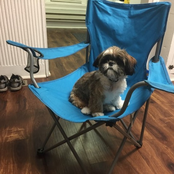 Meet your Posher, Resa - Picture 1 of 1